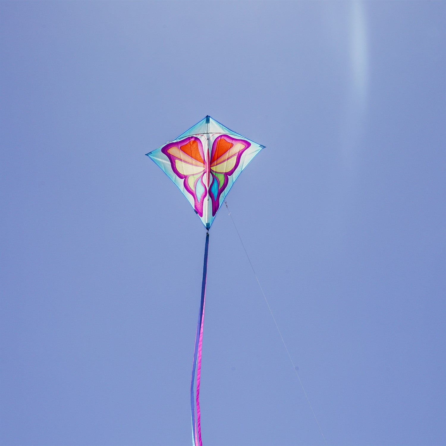 Alt text: Butterfly 30" Diamond Kite with vibrant butterfly prints and three color-coordinated tails being flown in a park setting.