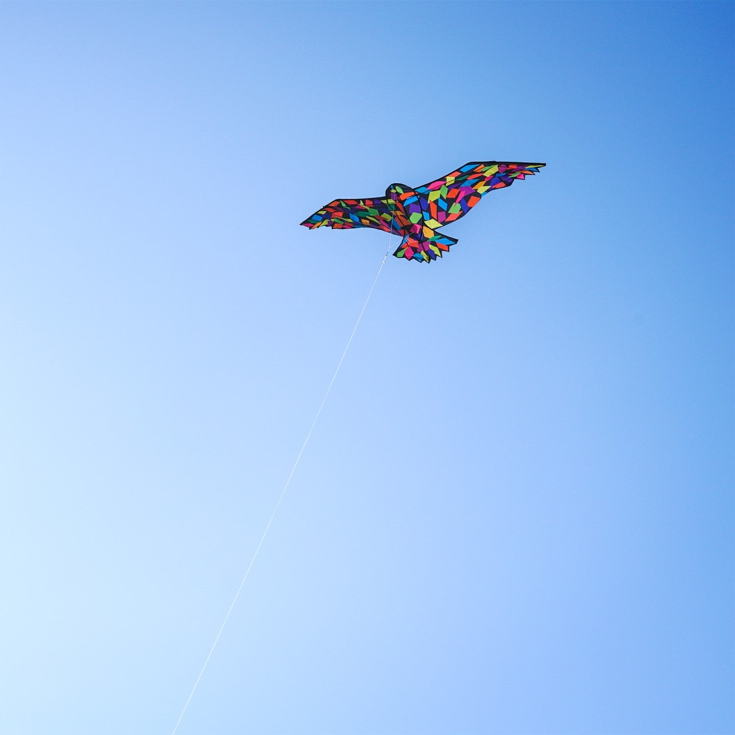 Alt text: "Colorful 70-inch Confetti Bird Kite soaring in a clear blue sky, showcasing its vibrant abstract design and equipped with a sturdy kite string.