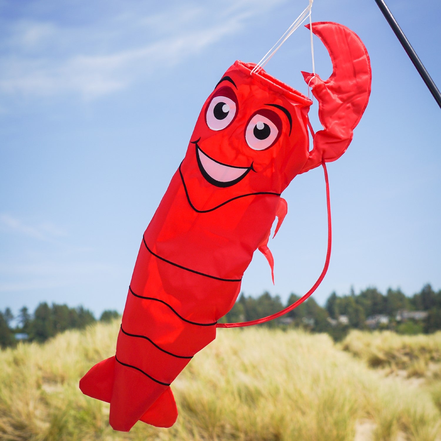 Lobster 3D Windsock made of weather-resistant fabric displaying a vibrant red lobster design, perfect for coastal outdoor decor.