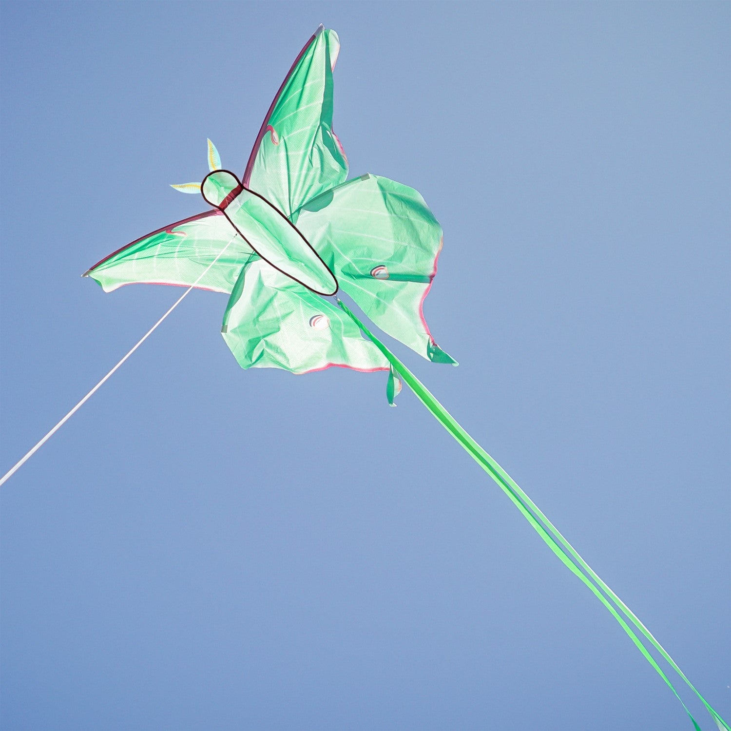 Luna Moth Kite in vibrant colors soaring in the sky with flowing tails, perfect for outdoor play and garden use.