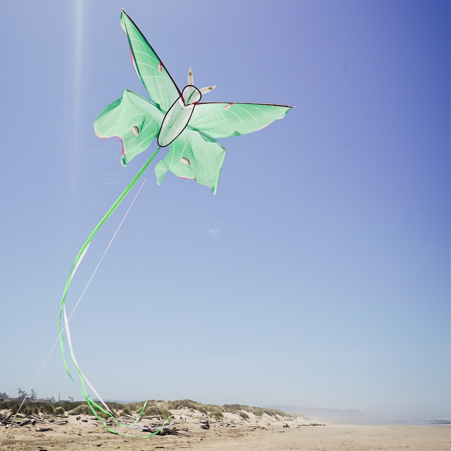 Luna Moth Kite in vibrant colors soaring in the sky with flowing tails, perfect for outdoor play and garden use.