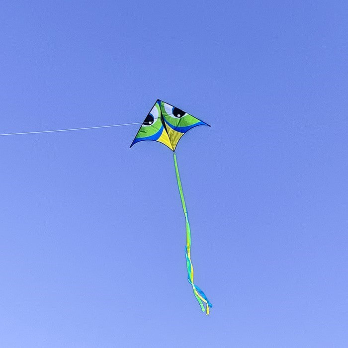 Manu Green 72" Delta Kite in colorful design with 12-foot streamer tail flying high against a clear blue sky during outdoor play.