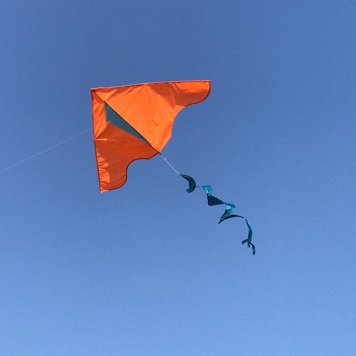 Orange Colorblock Delta Kite with Teal Blue Twister Tail flying against a clear blue sky, showcasing its vibrant colors in an outdoor setting.