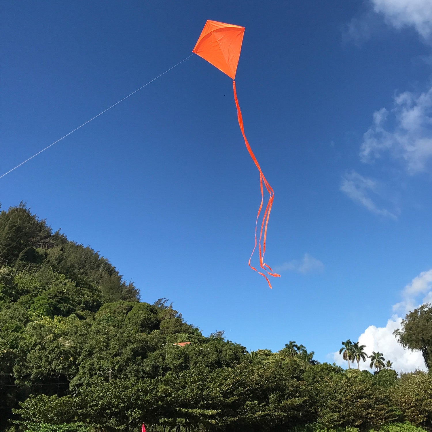 Orange Colorfly 30" Diamond Kite with vivid orange color and three 12' tails displayed in the sky during a sunny day, signifying outdoor fun.
