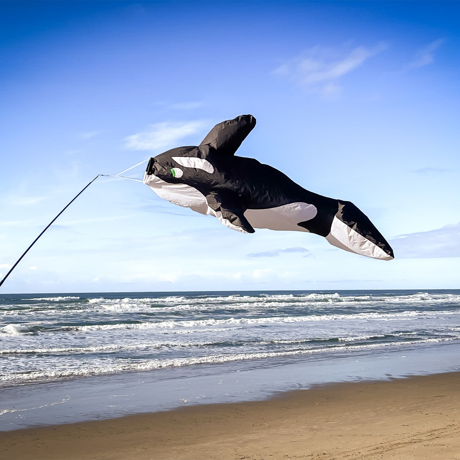 Orca Big Breeze WindsockTM featuring a vibrant 3D design of an orca whale, inflating in the wind and hanging in a sunny outdoor setting.