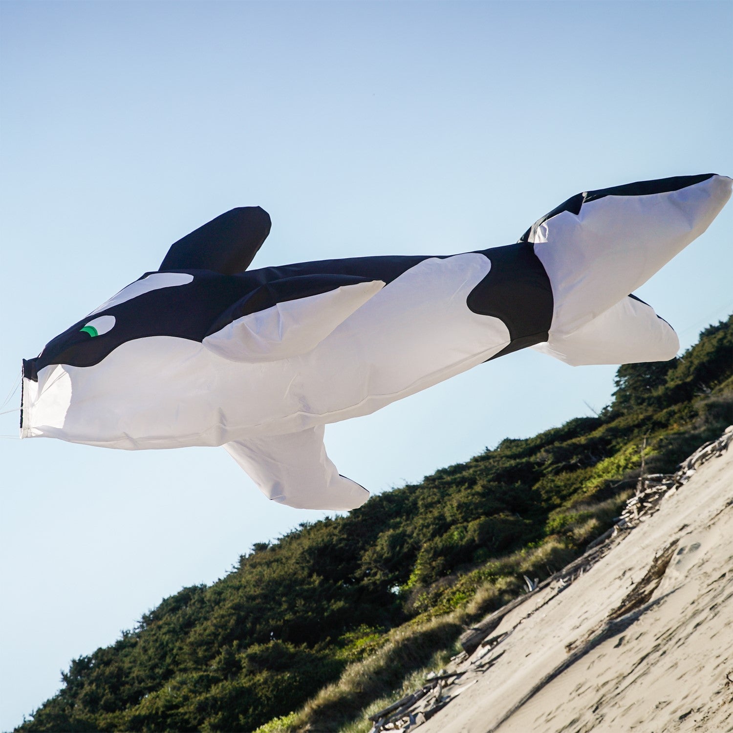Orca Big Breeze WindsockTM featuring a vibrant 3D design of an orca whale, inflating in the wind and hanging in a sunny outdoor setting.