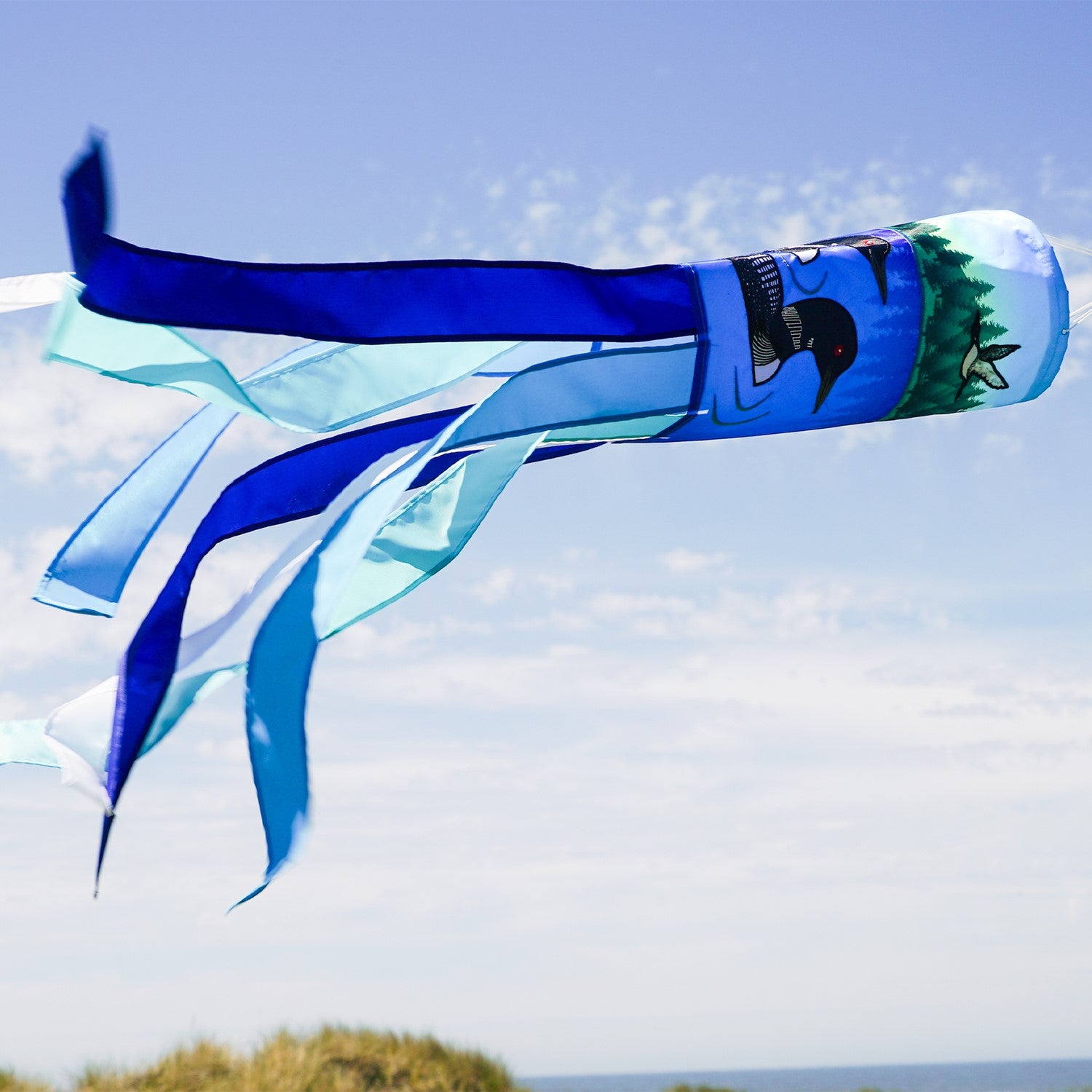 Pair of Loons 40-inch Inspiration Windsock displayed outdoors, featuring bright colors, detailed loons, and fluttering tails in a serene garden setting.