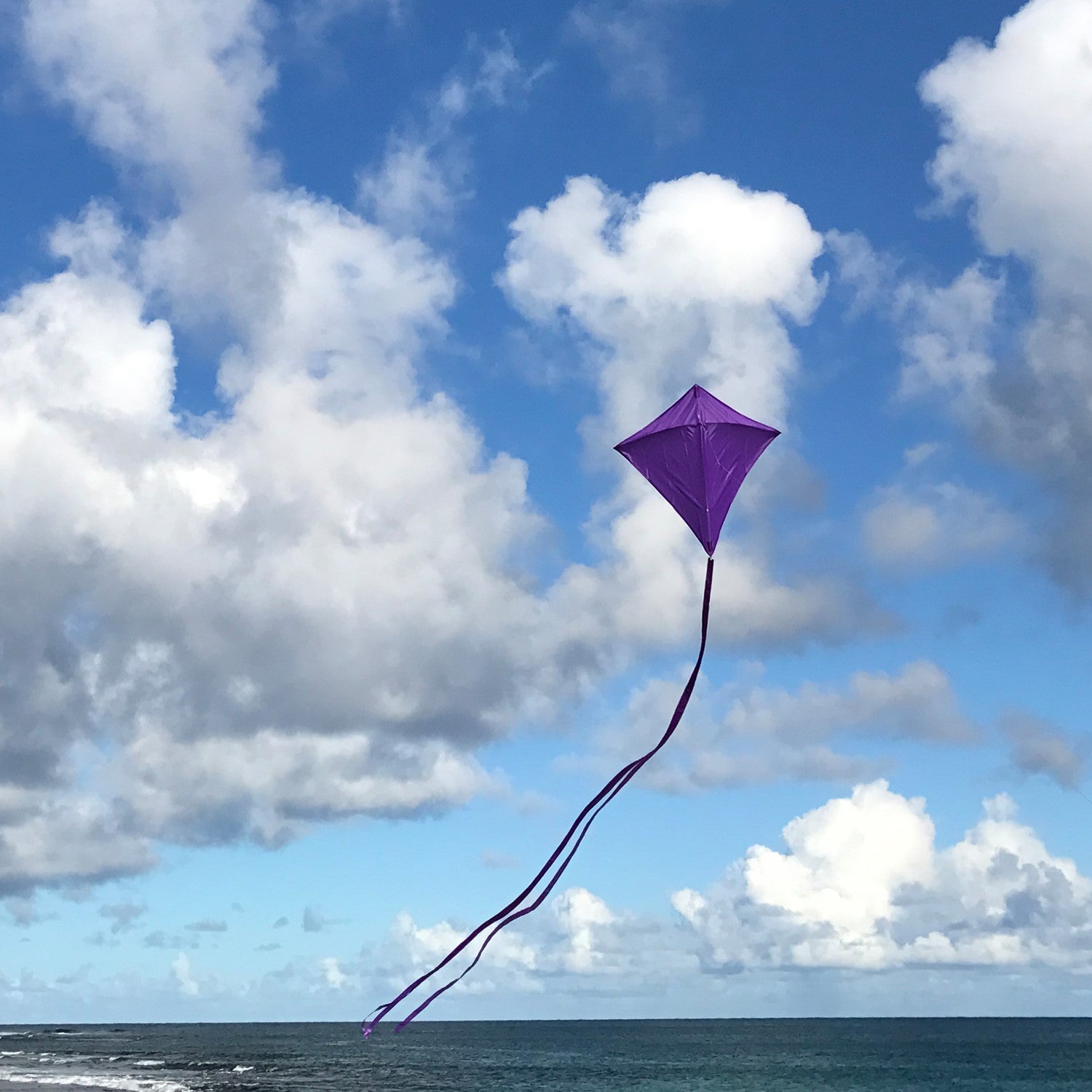 Purple Colorfly 30" Diamond Kite soaring against a blue sky, showcasing three colorful tails and a vibrant purple design.