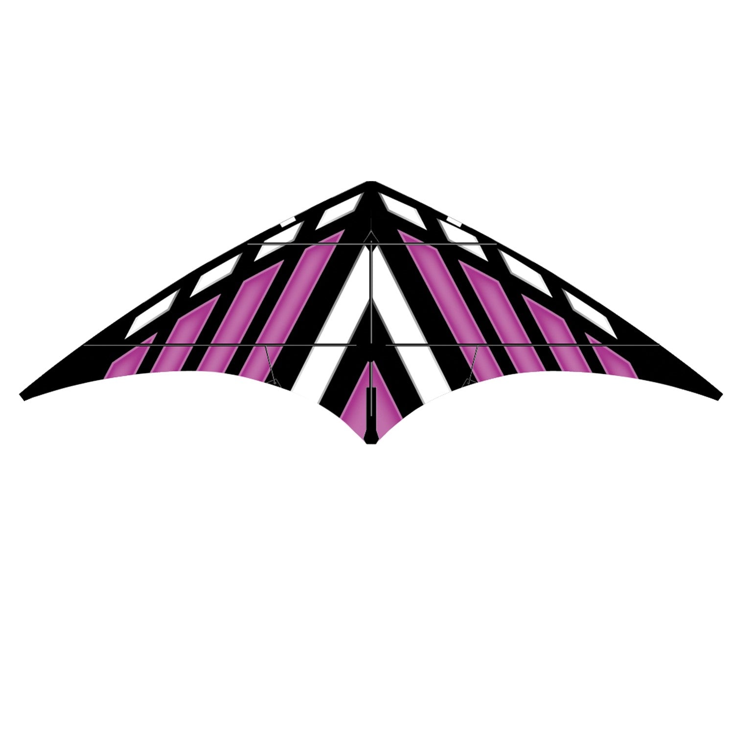 Purple DC Sport 70 Kite showcasing vibrant purple color and dual-line design, set against a clear blue sky ready for flight at an outdoor location.