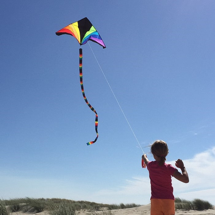 Rainbow Black 70 inch Delta kite with vibrant rainbow colors flying in a clear blue sky at a park.