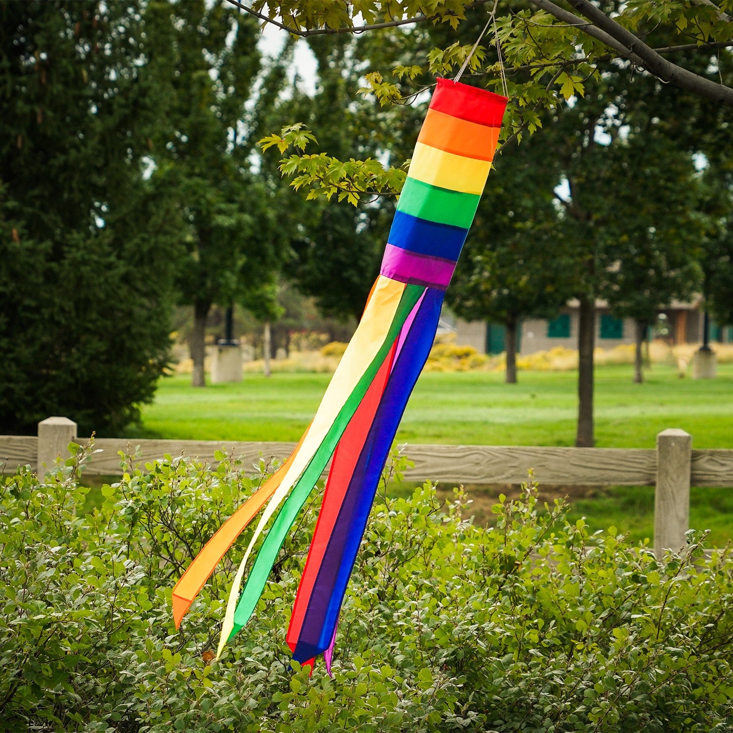 Rainbow Column 50" windsock featuring vibrant rainbow hues and six matching tails, displayed elegantly in a garden setting.