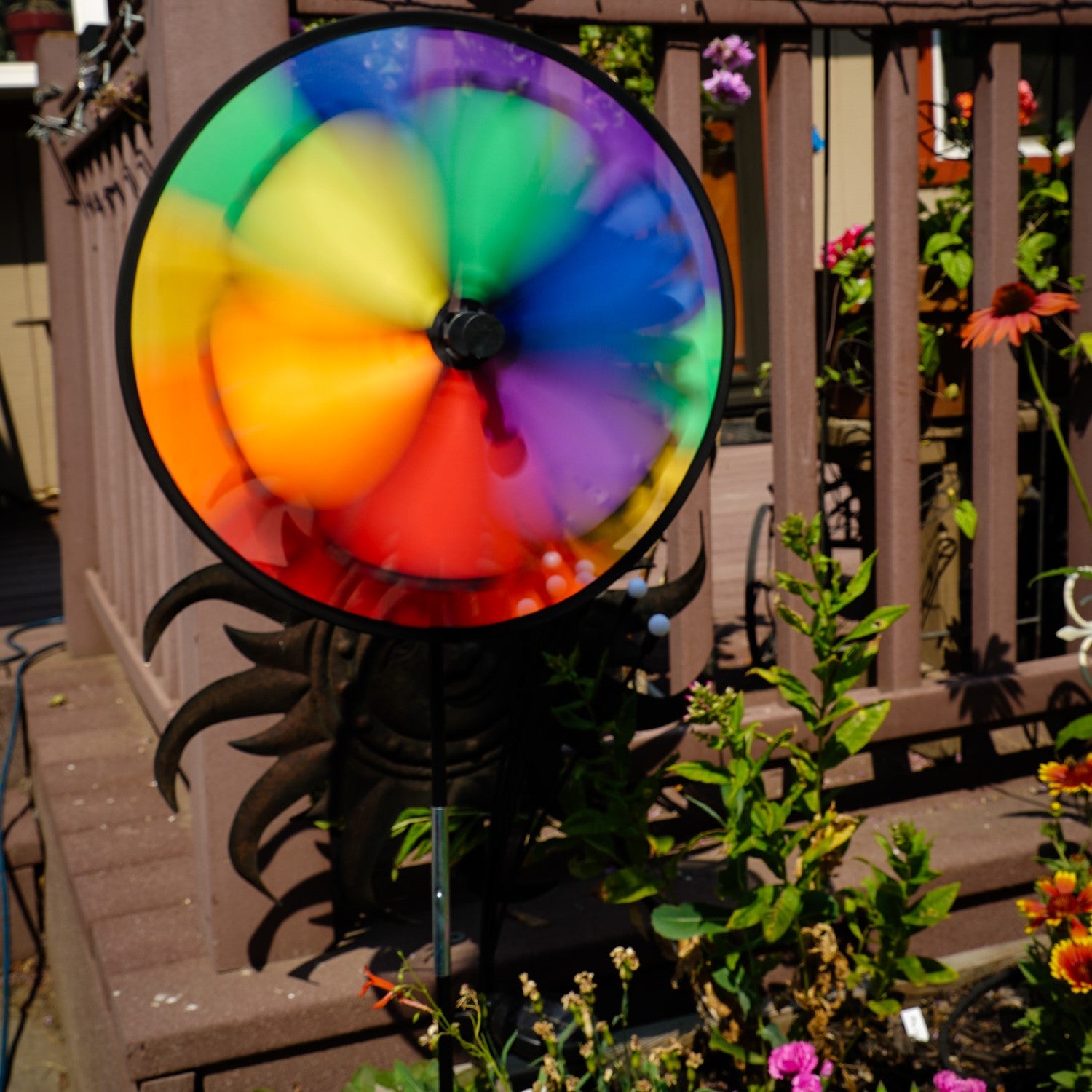 Rainbow Dazy Wheel garden spinner featuring a colorful design with a 12-inch petal top and a 15-inch spinner wheel, displayed outdoors.