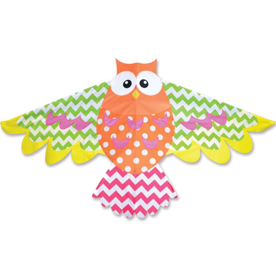 Rainbow Owl Kite measuring 70 x 36 inches, featuring intricate owl design flying against a clear sky, perfect for outdoor enjoyment.