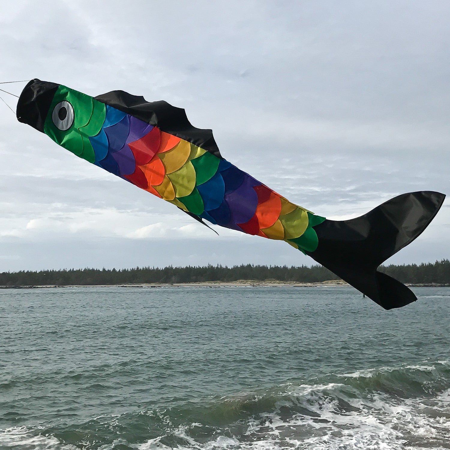 Rainbow Scales Fishsock, a colorful and whimsical windsock with detailed applique, displayed in an outdoor garden setting, showcasing its design.