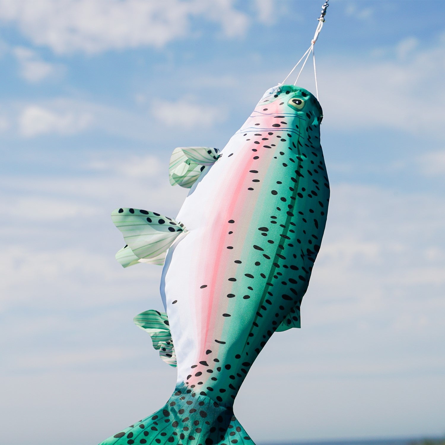 Rainbow Trout Spinner Tail wind sock with vibrant colors and spinning streamer tail, hanging outdoors in a garden setting.
