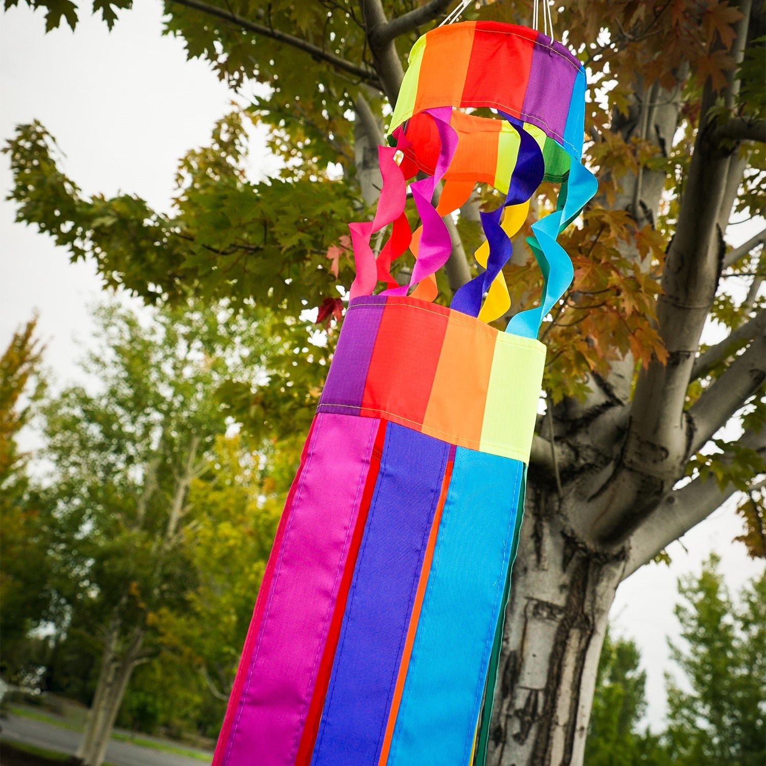 Visualize the Rainbow Twistair Windsock with its vibrant, swirling colors and eight flaring tails fluttering gracefully in the breeze, creating a joyful display.