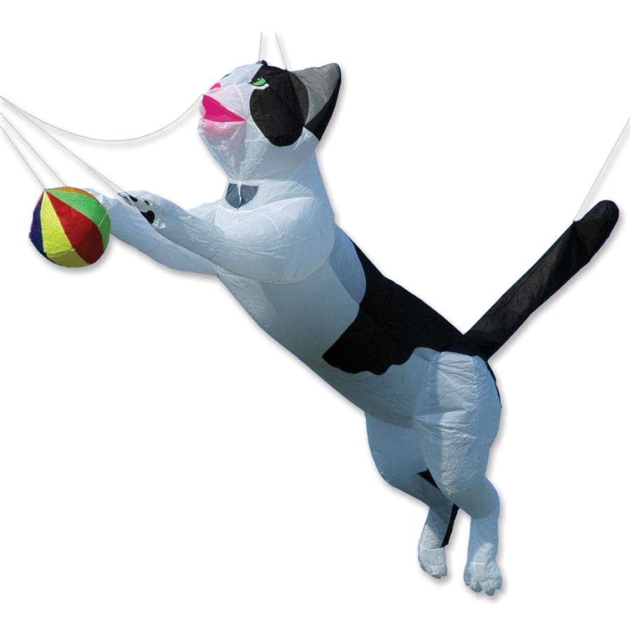 Ram Air Cat Line Device for Kites in Black & White flying in the sky, measuring 10.5 feet designed by Christophe Goy.