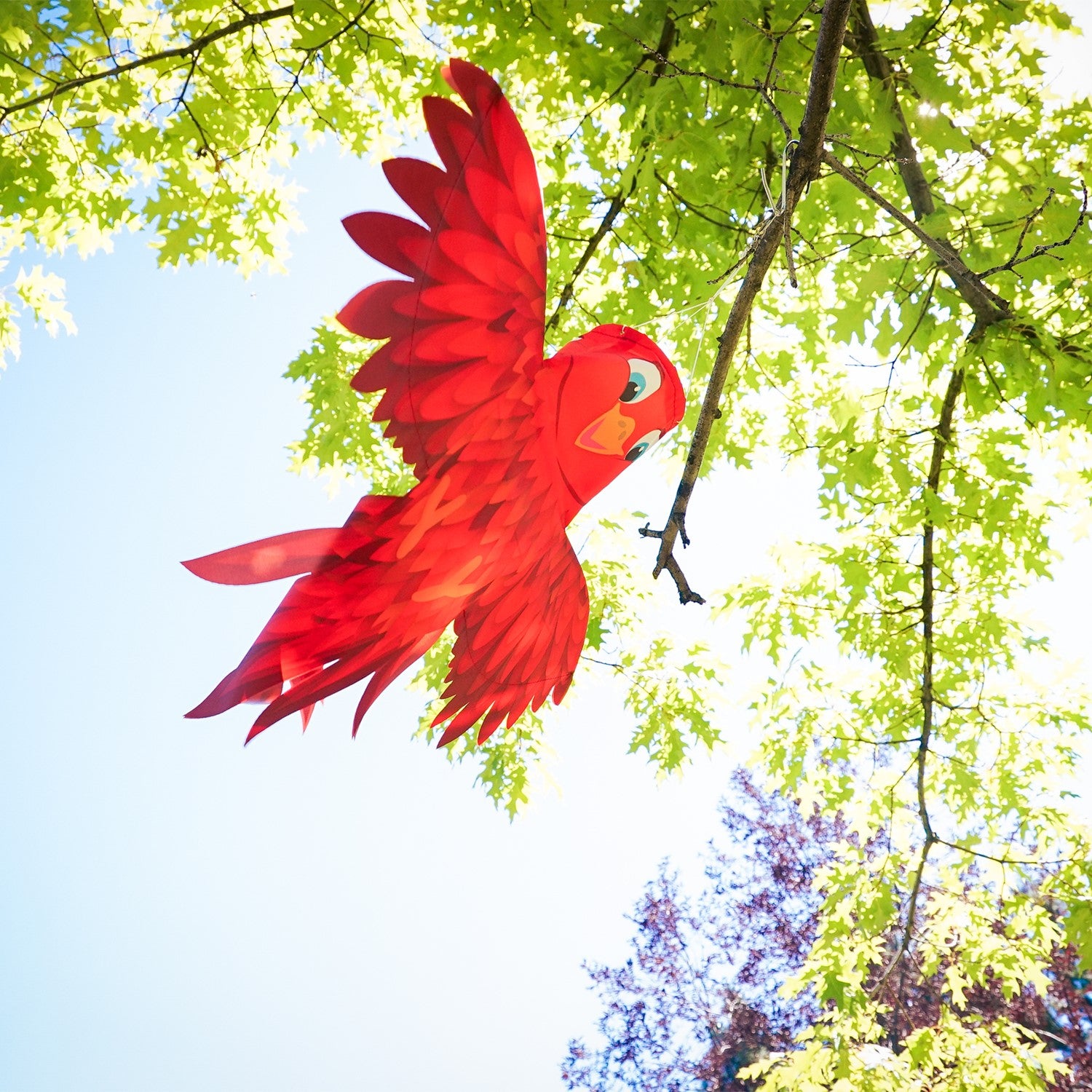 Red Bird Windsock in vivid colors, featuring permanently spread wings and an easy hanging system, enhances outdoor spaces with charm and joy.