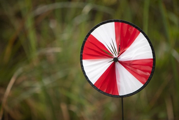 Red and White Spinning Runner with an 8-inch wheel spinning joyfully in a lush garden setting, showcasing its vibrant colors.