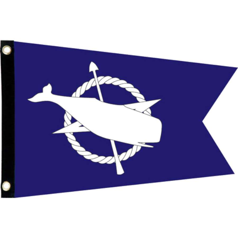 Vibrant Seafarer Flag - Nantucket 2C, features blue and white nautical design, displayed on a flagpole at a beach house.