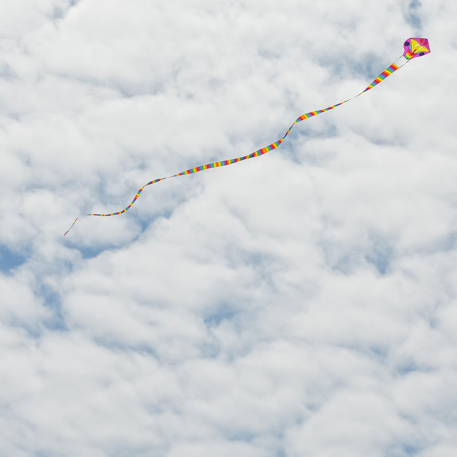 Vibrant Serpent Kite soaring high with a 38-foot rainbow tail against a clear blue sky during an outdoor event.