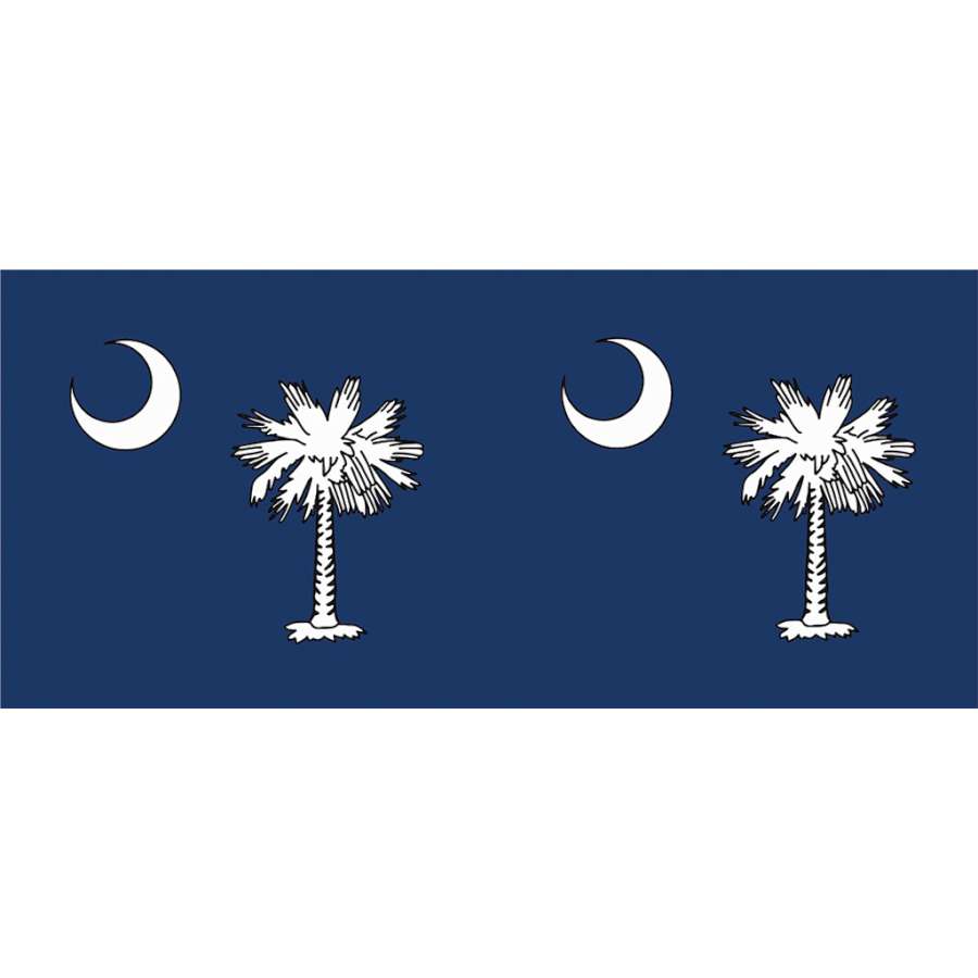 Vivid South Carolina windsock with palmetto tree and crescent moon design hanging from a pole, fluttering in the outdoor breeze.