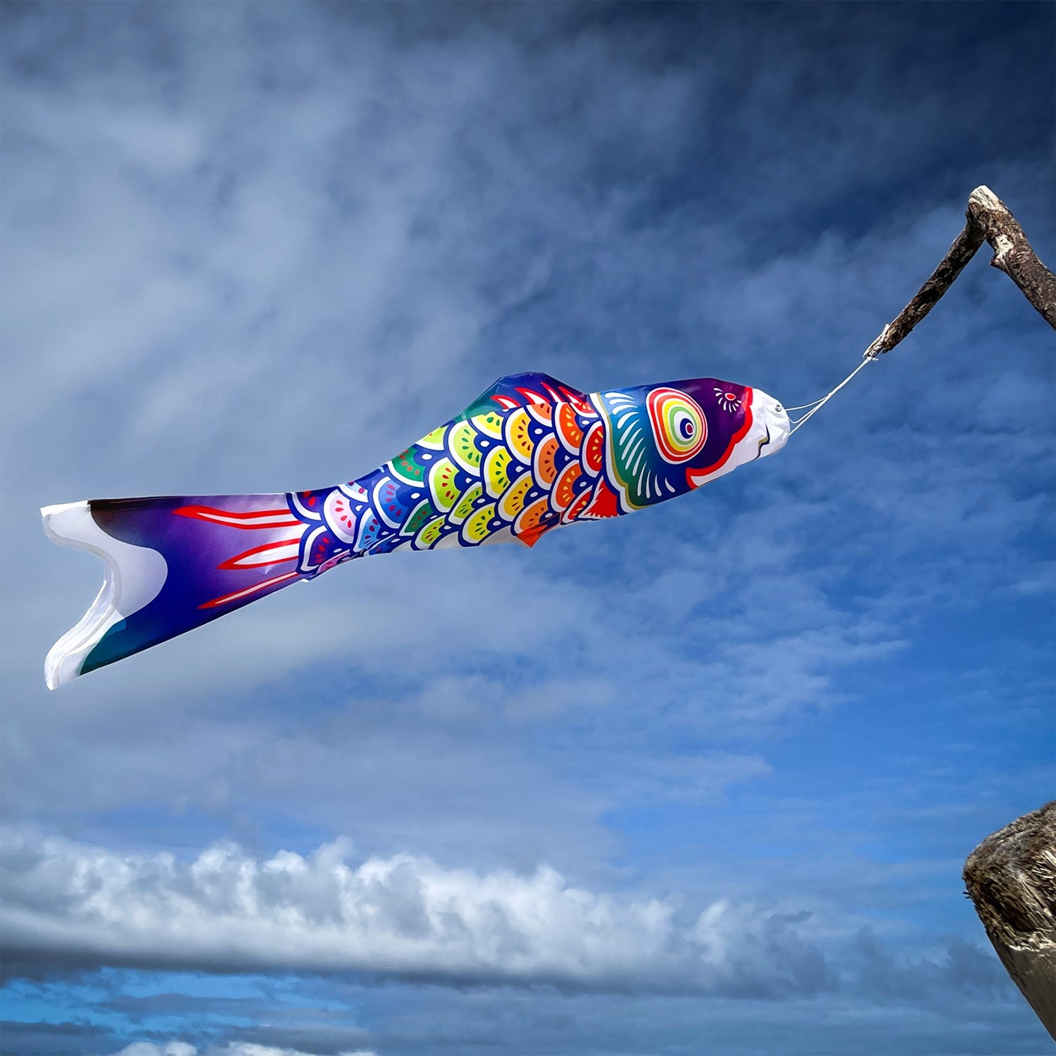 3' Spectrum Koi Fishsock in vibrant rainbow colors hanging gracefully in a garden setting, showcasing its whimsical design and lightweight construction.