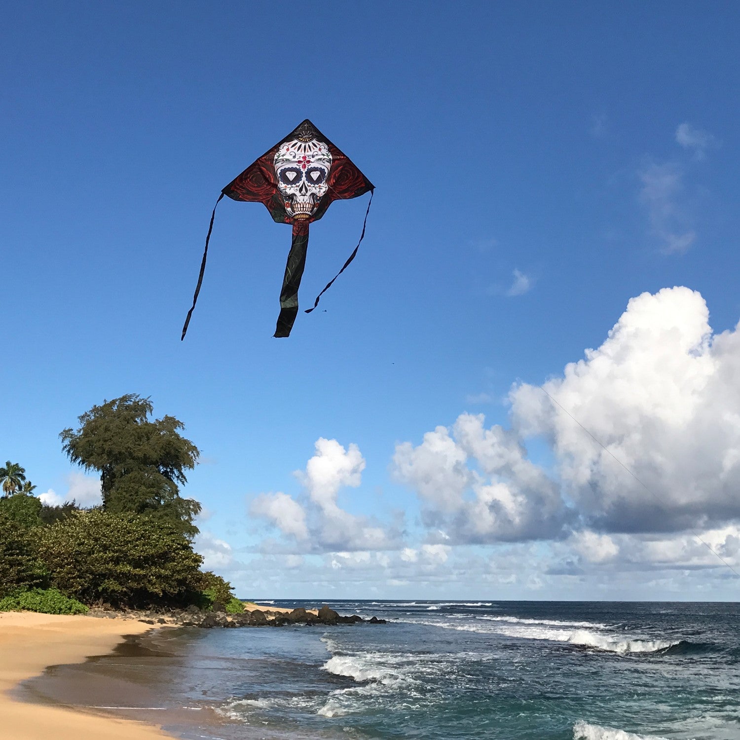Sugar Skull 45" Fly-Hi Kite featuring a colorful sugar skull design, flying high against a clear blue sky, ideal for family outdoor activities.