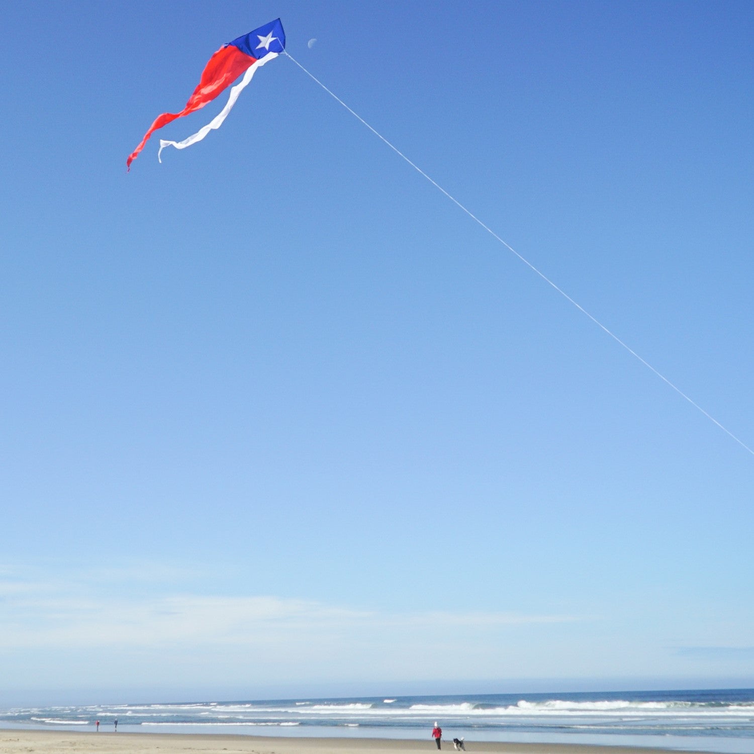 Texas 77-inch Wave Delta Kite featuring an applique star and flowing tails soaring against a blue sky on a breezy day.
