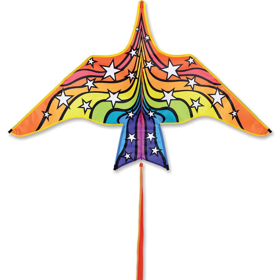 60 inch Thunderbird kite with rainbow starburst graphics, stable flight, compact size, and included line for colorful outdoor fun for all ages.
