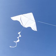 White Delta with White Twister Tail kite flying high in a clear blue sky, showcasing its sleek design and playful tail.