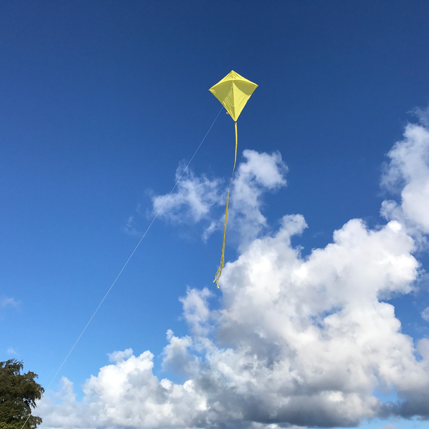 Capturing the essence of fun in the skies, the Yellow Colorfly 30" Diamond Kite boasts a bright yellow design with three coordinating tails, perfect for outdoor adventures.