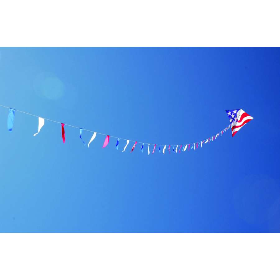 100 ft. Flag Line featuring colorful flags attached to a durable line, enhancing a kite display in a vibrant outdoor setting.