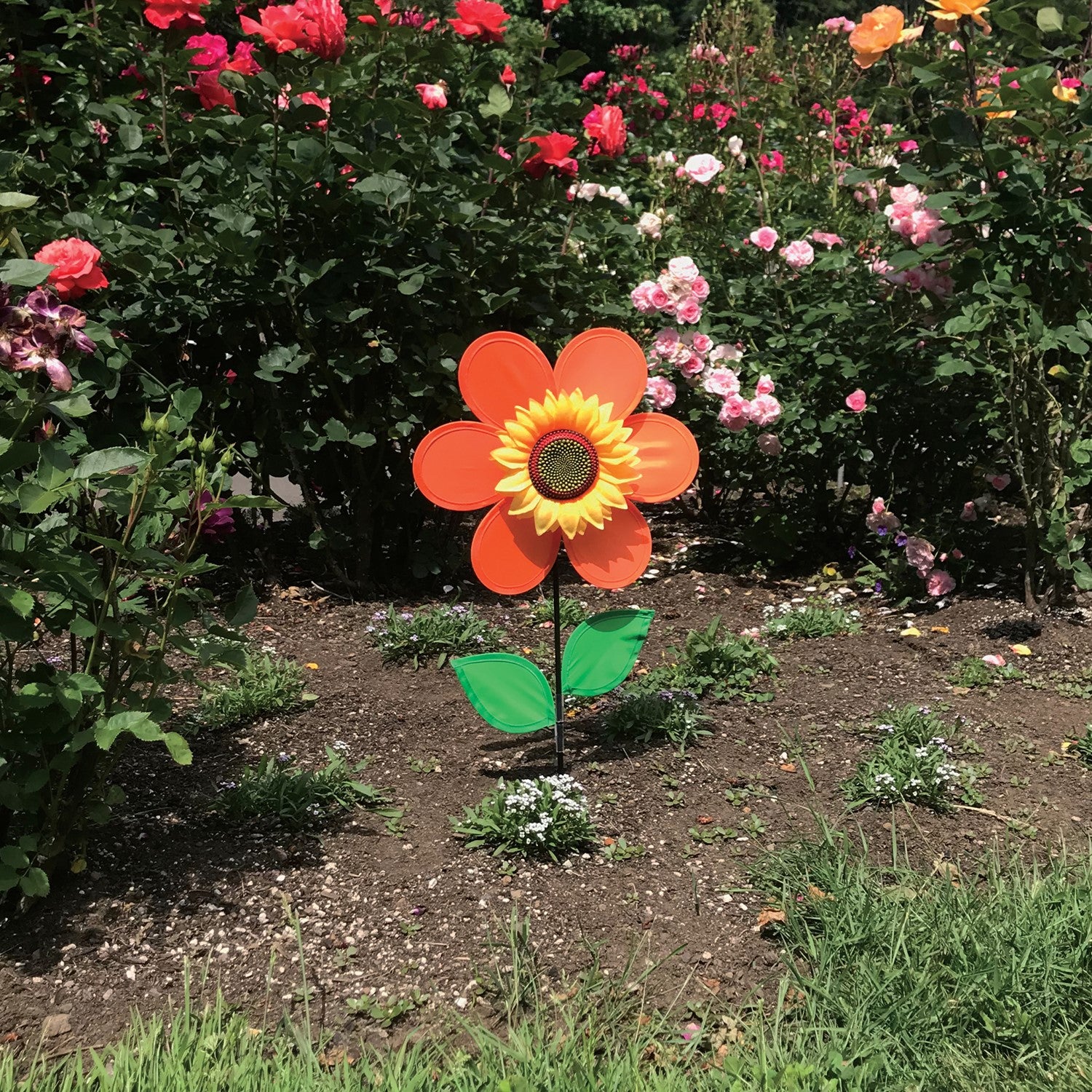 12-inch orange sunflower spinner with bright petals and green leaves, spinning on a sturdy fiberglass pole in a garden setting.