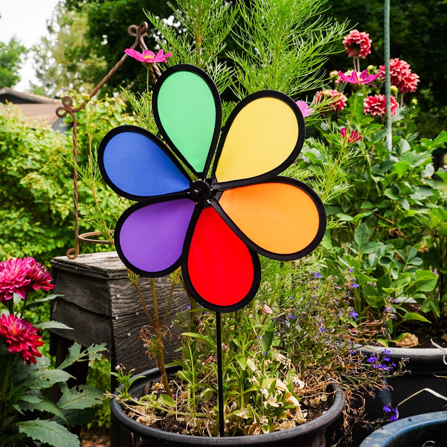 12-inch Rainbow Dazy Petal Spinner featuring six colorful petals, displayed in a garden, showcasing vibrant colors spinning in the breeze.