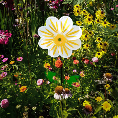 A 13-inch White Daisy Flower Spinner spinning in a garden, featuring an 8-petal design with a white floral motif against a natural backdrop.