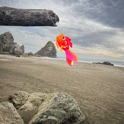 15-inch Hot Damsel Fish windsock in vibrant colors with flapping fins, hung outside in a garden setting to enhance decor.