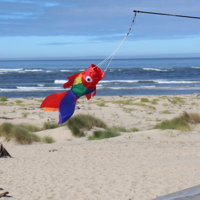 15-inch Rainbow Damsel Fish windsock displaying colorful rainbow applique design fluttering elegantly in the wind against a blue sky.
