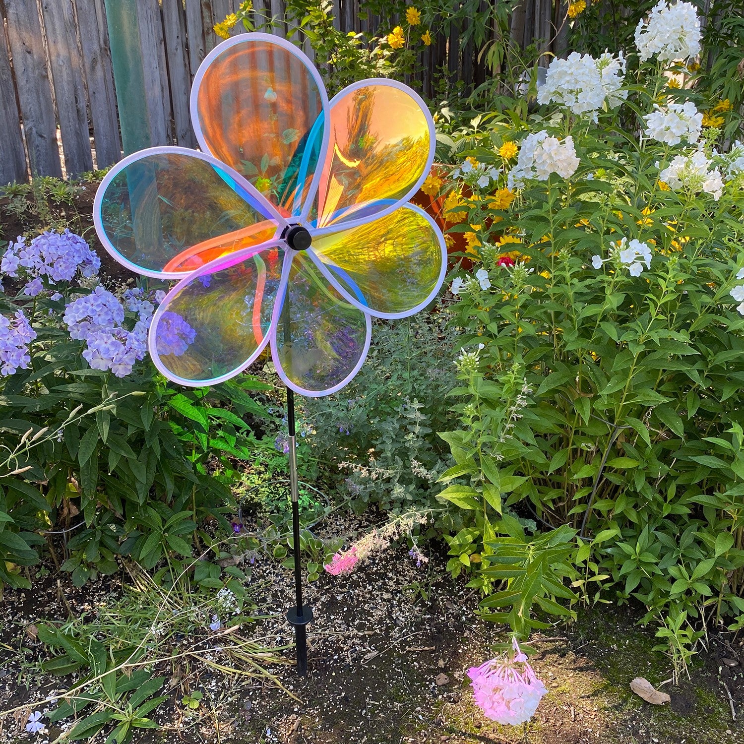 19-inch Iridescent Flower Spinner with transparent Mylar petals captured in a garden setting, reflecting sunlight and colors beautifully.
