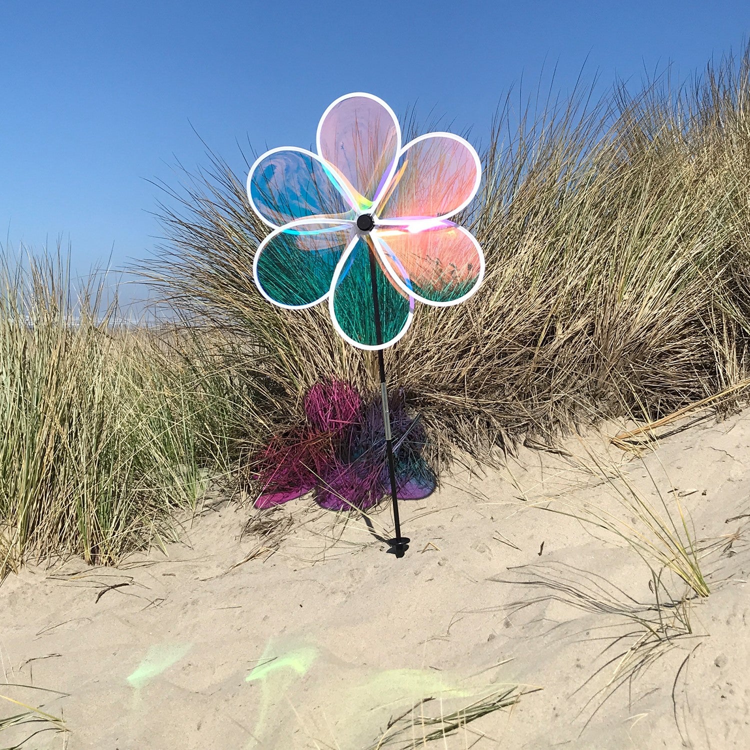 19-inch Iridescent Flower Spinner with transparent Mylar petals captured in a garden setting, reflecting sunlight and colors beautifully.