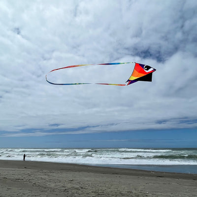 20' Continuous Kite Tail - Tie Dye with vibrant colors, attached to a kite in the sky, showing its dynamic flow in the wind.