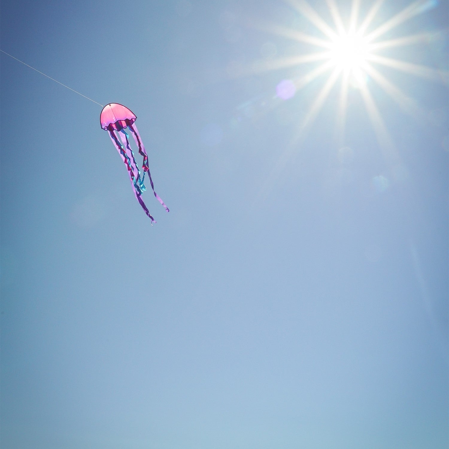 22-inch Jellyfish Dancing Dragon Kite with colorful tails flying in the sky, showcasing its vibrant jellyfish design during a sunny outdoor event.