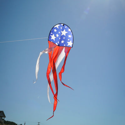 22" Patriot Dancing Dragon Kite with stars and stripes design soaring through the sky during a sunny outdoor event with tails flowing.