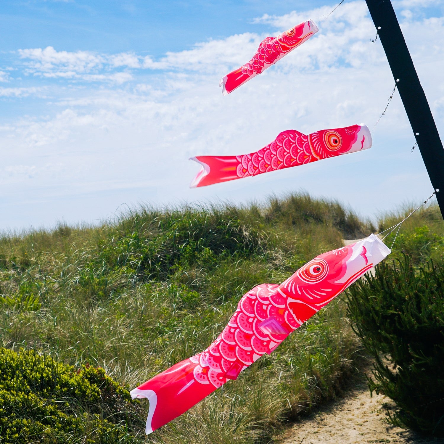 Colorful 24" Pink Koi windsock hanging outdoors, showcasing its vibrant design and fluttering in the breeze.