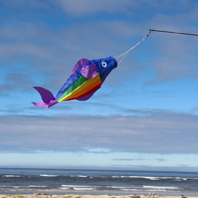 26-inch Rainbow Trout Windsock featuring vibrant rainbow panels, displayed outdoors with a fun 3D effect fluttering in the wind.