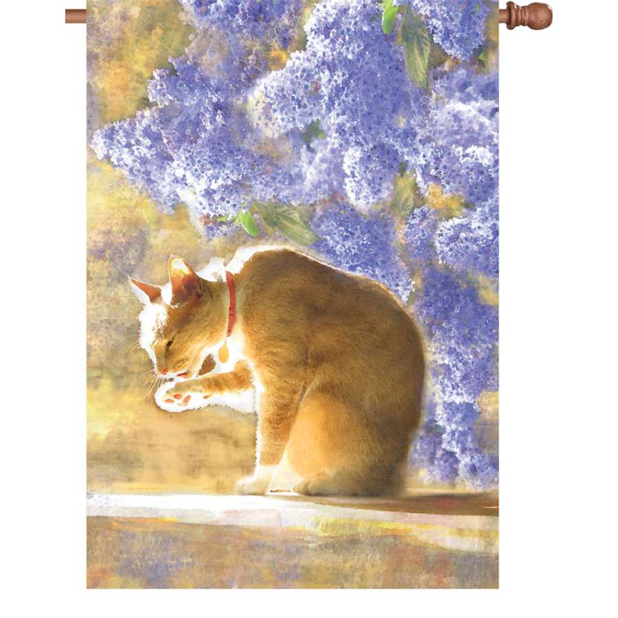 28 in. illuminated Bathing Tabby Flag featuring a colorful tabby cat by the water displayed in a yard, highlighting its whimsical design.