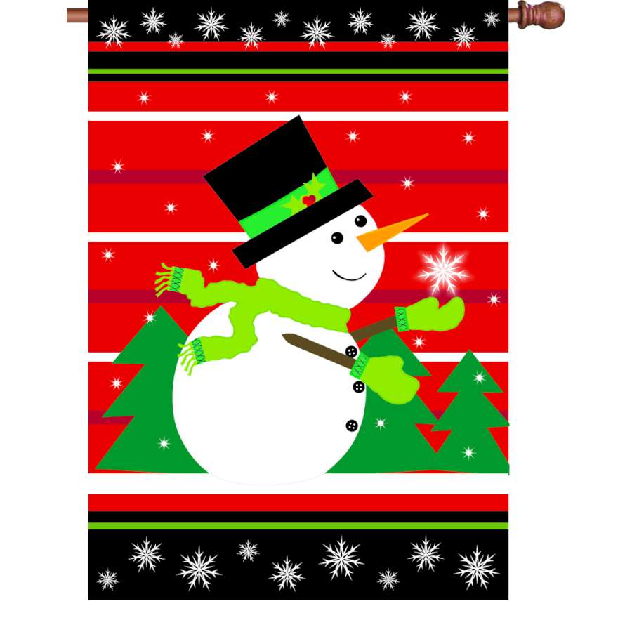 28 in. Catch A Snowflake outdoor flag featuring colorful snowflake designs displayed on a garden flagpole during winter.