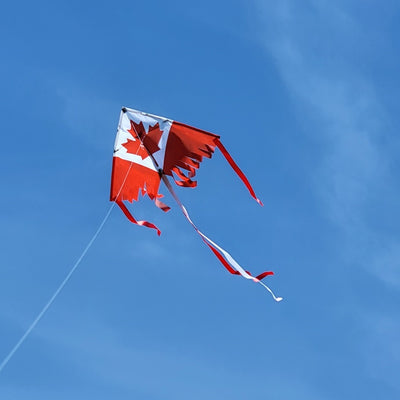 28 in. Fringe Delta Kite with Canada Flag design soaring against a blue sky, showcasing its vibrant colors and streamer tails.