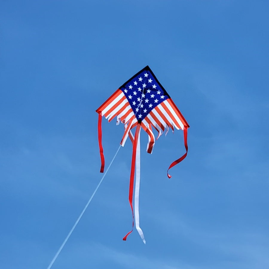 28 in. Fringe Delta Kite featuring colorful design, shown soaring in a blue sky with streamer tails trailing behind, ready for outdoor fun.