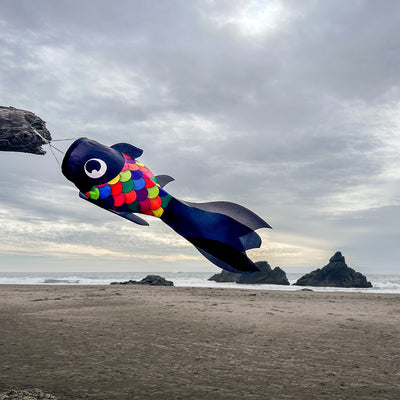 30-inch Black & Rainbow Damsel Fish Windsock swaying in a gentle breeze, featuring flowing fins and colorful design suitable for outdoor decor.